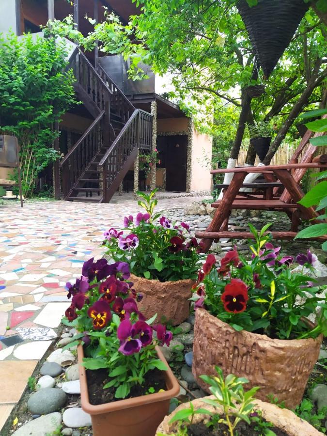 Guest House Lev Піцунда Екстер'єр фото